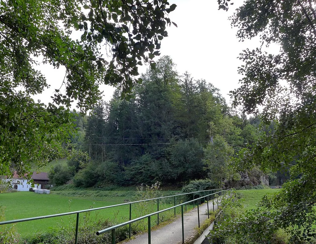 Der Neuhauser Burgstall liegt im Tal der Großen Naarn auf einem nach drei Seiten steil abfallenden Geländesporn etwa zwischen den Häusern Naarntal Nr. 4 (jüngeres Wohnhaus) und Nr. 5, der früheren Hammerschmiede Neuhaus (nun ein stilvolles Blossstein-Gebäude samt kleinen Schmiedegebäude, dessen ehemalige Wasserkraftanlage gänzlich einplaniert ist). All das wird im grossen Bogen von der Großen Naarn umflossen.