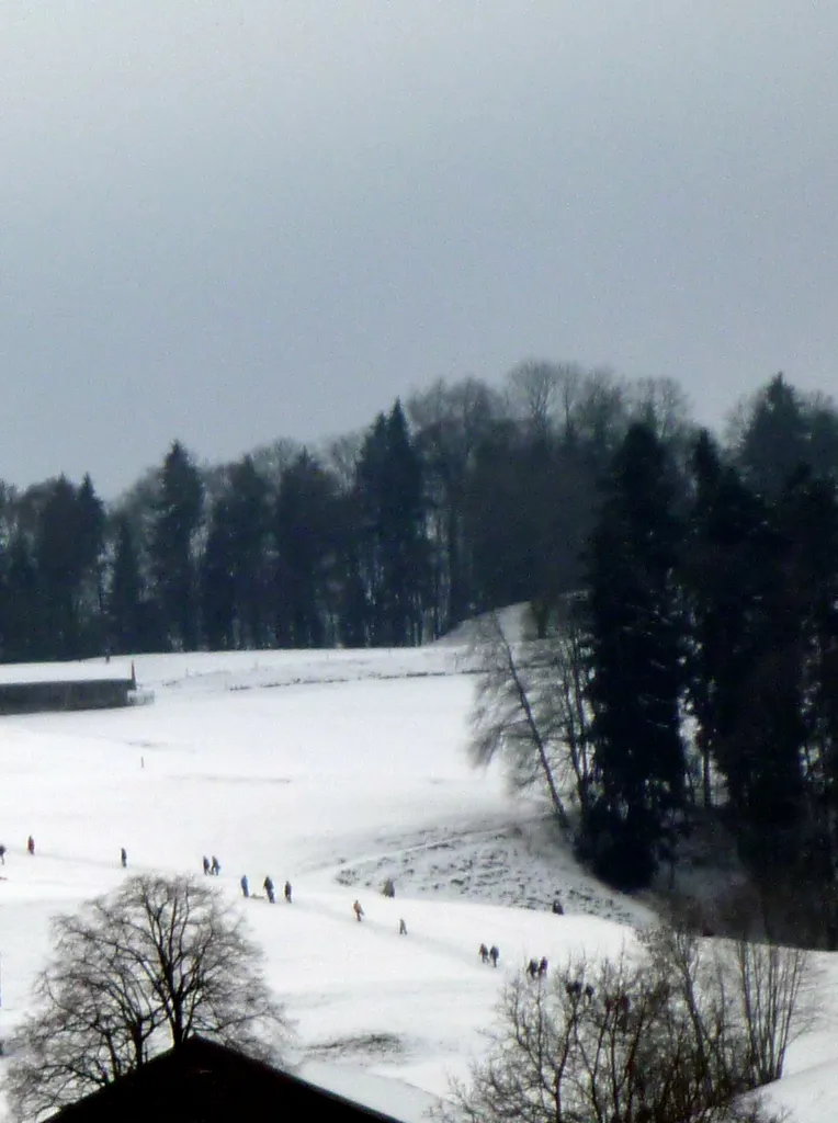 Nostalic ski race at the Eppenberg on 1st of January, 2011