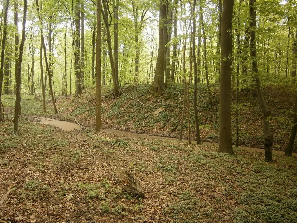 Äußerster Vorwall.
