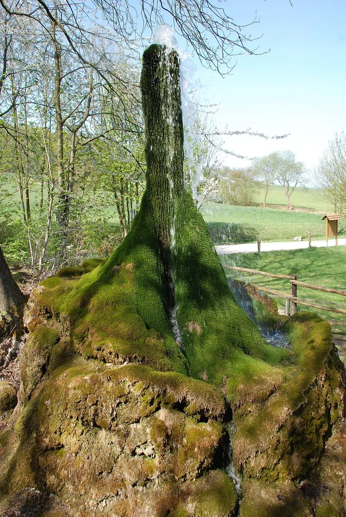 Wasserbaum Ockensen