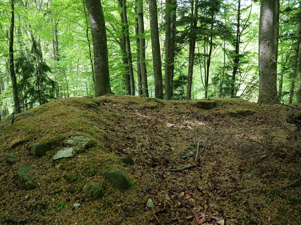 Burg Wunnenberg