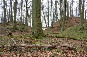 Burgruine Großer Gudenberg