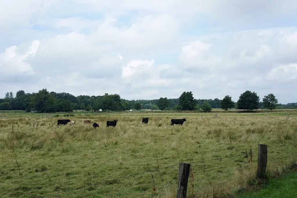 LSG OL 00008 Huntetal bei Colnrade