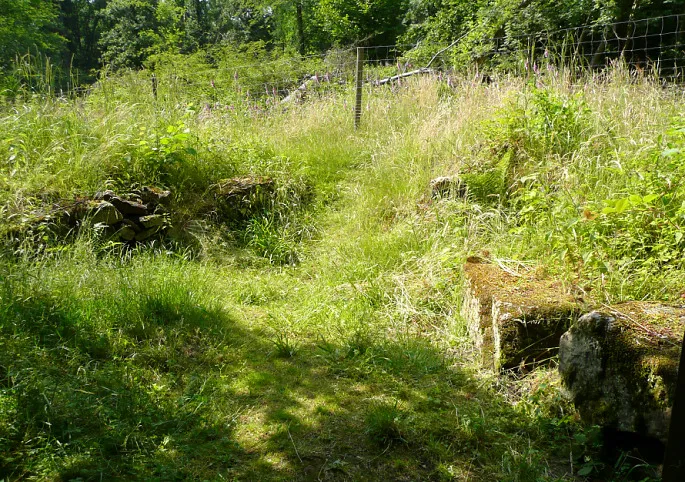 Steinreste im Bereich des ausgegrabenen Zangentors der Lippoldsburg bei Hann. Münden