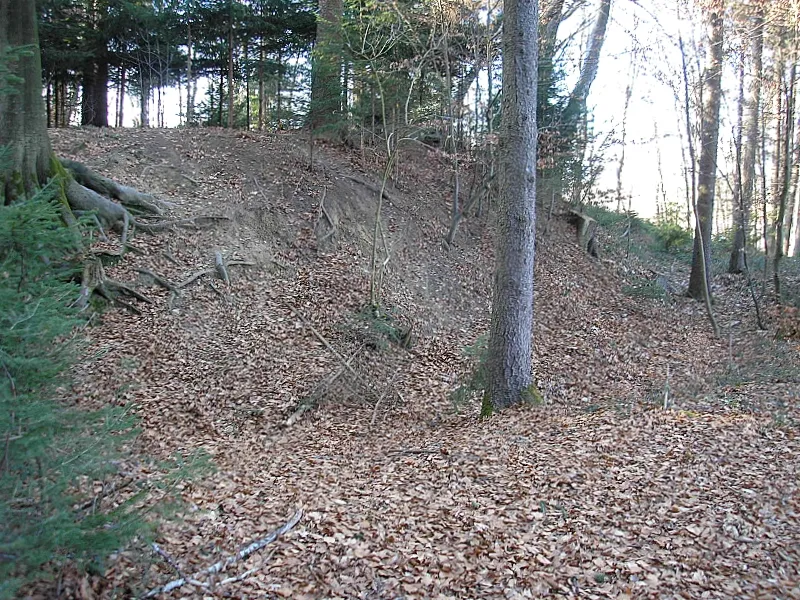 Hochmittelalterlicher Burgstall Haunswies (Gemeinde Affing, Landkreis Aichach-Friesberg, Bayerisch-Schwaben. Der Nordostteil des Burgstalles. Eigene Aufnahme, Feb. 2008 / Former High Middle Ages Haunswies castle near Affing (Bavaria, Germany). The north eastern part of the castle. Own photo, Feb. 2008