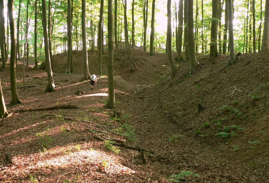 Vorburg (rechts) und Hauptburg (links) der Osterburg bei Deckbergen