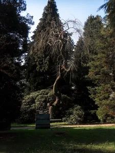 Michaeliskapelle und Friedhof (Sachgesamtheit) Bahnhofstraße