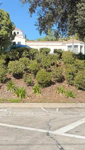 The Church of Jesus Christ of Latter-day Saints of Burbank