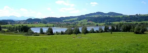 Schutz des Haslacher Sees in den Gemeinden Burggen u. Bernbeuren