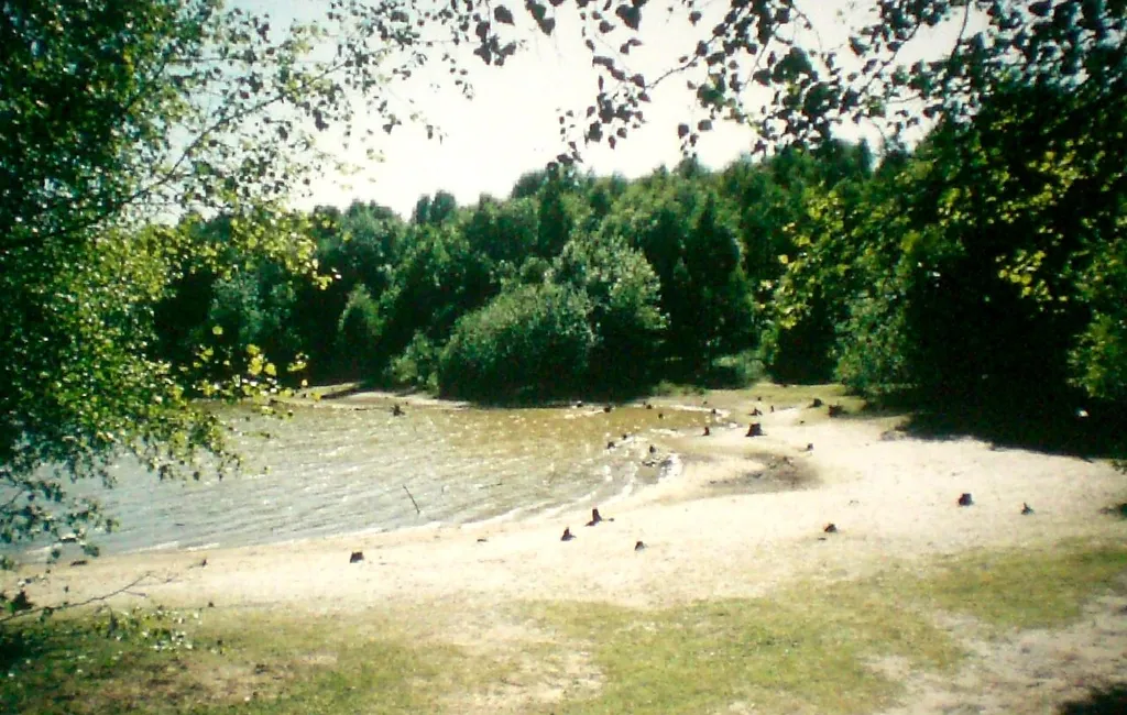 Dammer Bergsee