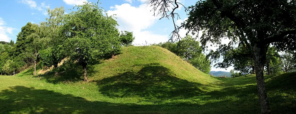 Burghügel von Westen, mit vorgelagerten Graben.