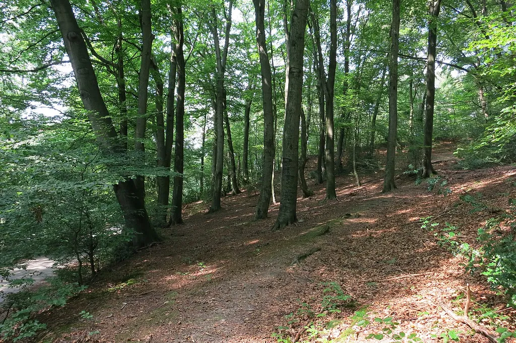 Asbachtal