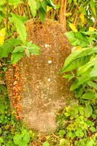 Snell Headstone Approximately 1.5 Metres East Of Chancel Of Church Of Holy Trinity