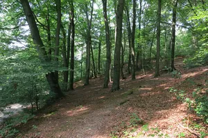 Asbachtal