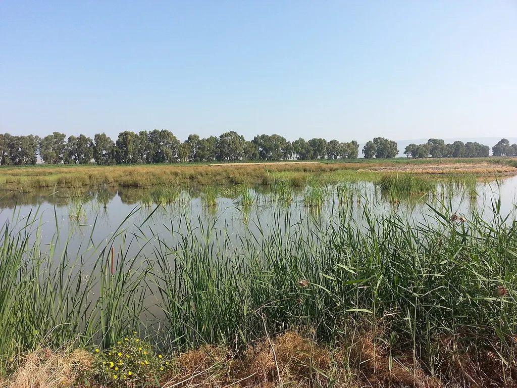 Lago Salso