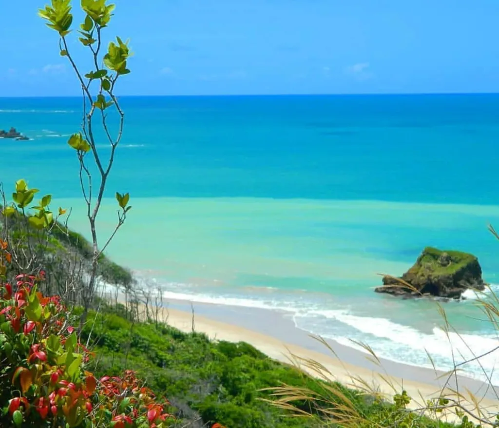 Praia de arapuca paraiba brasil uma das mais lindas do Brasil e mundo