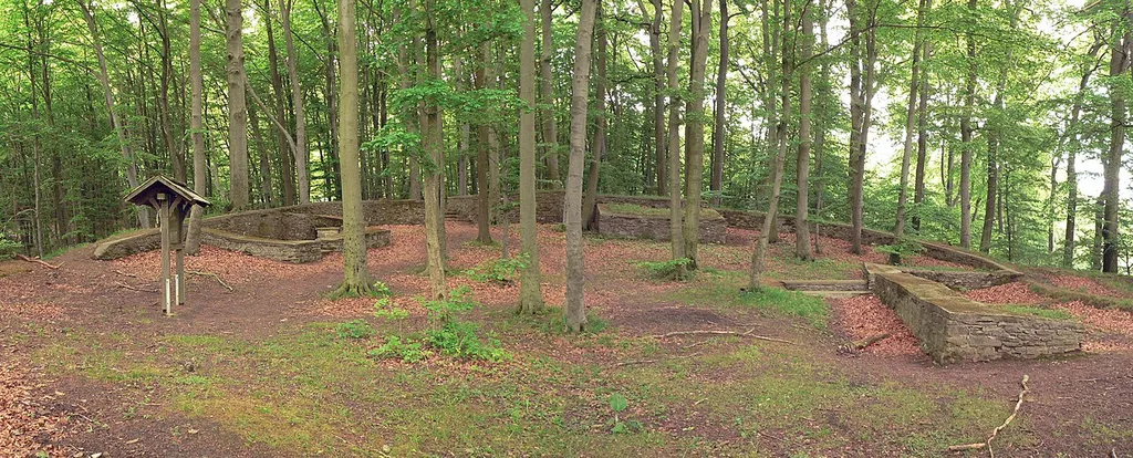 Blick über die Hünenburg (Rinteln)