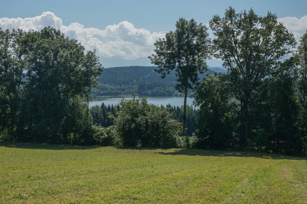 Strußnigteich