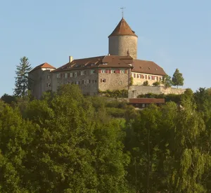 Burg Reichenberg (Baden-Württemberg)