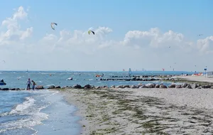 Pelzerhaken Beach