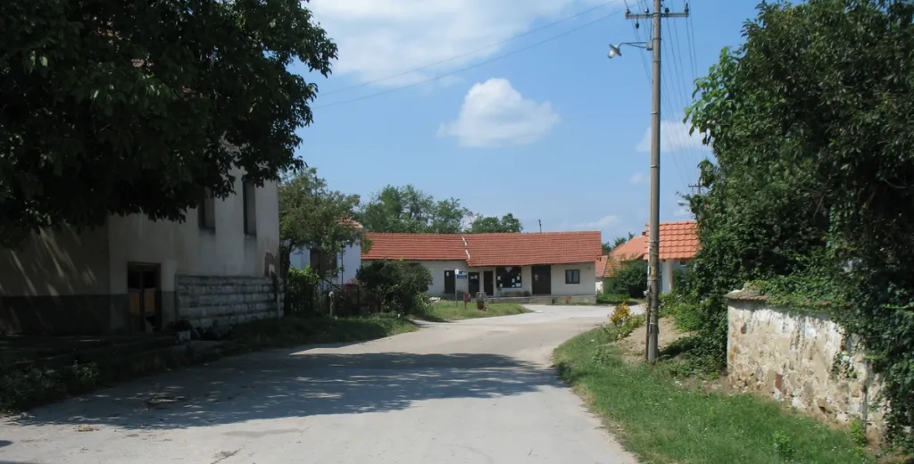 Popovica