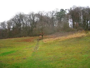 Burgwall Rothemühl