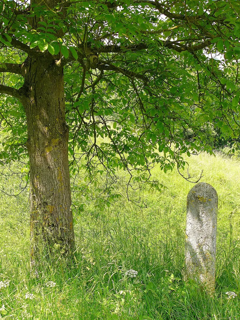 V. Burgfriedenstein; steht auf der Wiese oberhalb Hagrainer Straße Nr.70.