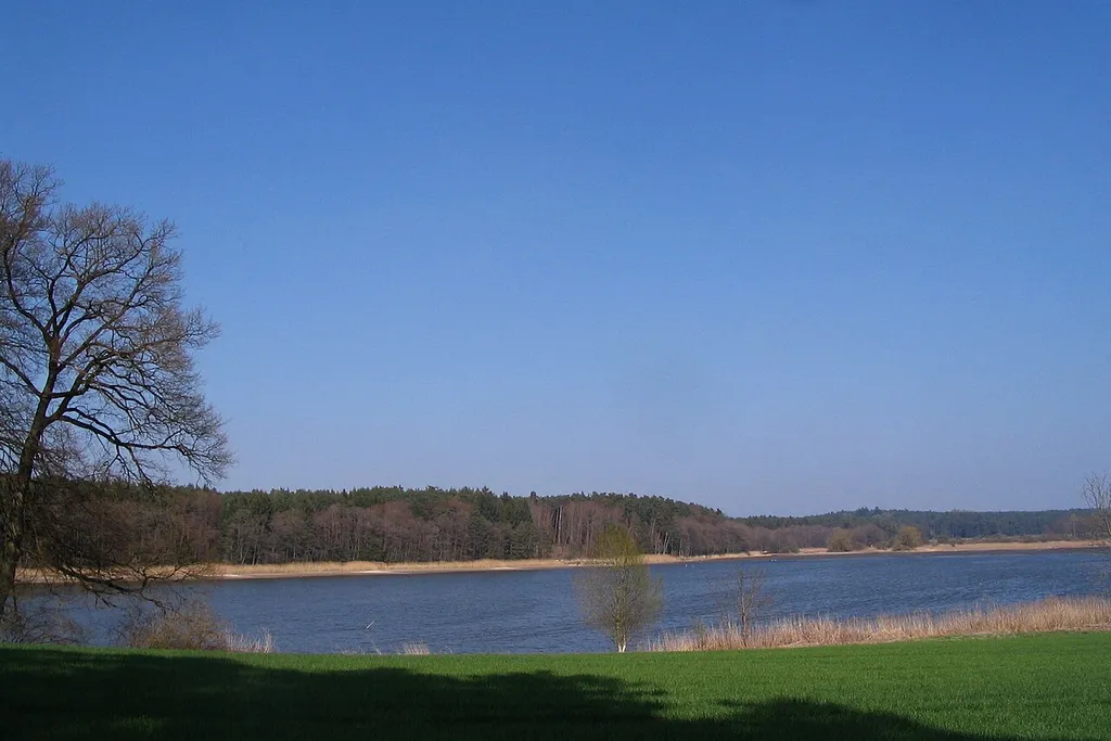 Straßberger Weiher im Dürnbucher Forst