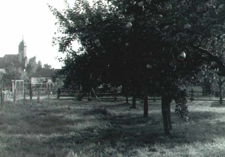 The protestant church of Erzhausen, Germany and a pear orchard in front (the apple name of the file may probably be wrong), taken sometime in the 1970s-1980s.