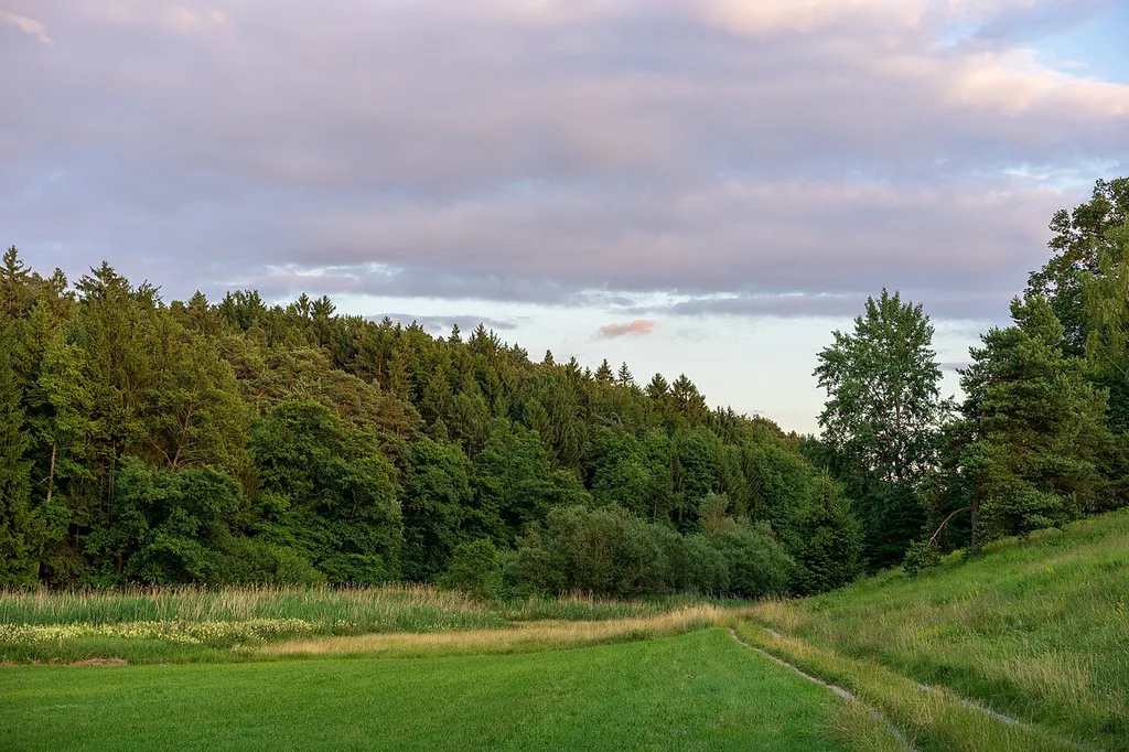 Landschaftsschutzgebiet „Burgfrieden – Oberes Dachsbachtal“ (Schutzgebiets-Nr. LSG 1.25.042) bei Wüstenrot: die vom Schutzgebiets-Steckbrief genannten „naturnahen Wiesenauen“ und das Ried am oberen Lauf des Dachsbaches. Ein Teil des Rieds ist außerdem als Biotop ausgewiesen (Biotop-Nr. 169221250250, „Röhricht nördl. Finsterroter See“).