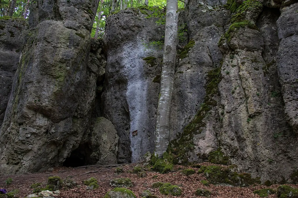 Saalburg mit Höhlen (D125) SE von Plech