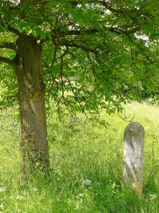VII. Burgfriedenstein