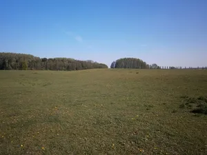 Burgwall Hungerstorf