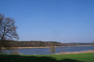 Landschaftsschutzgebiet Dürnbucher Forst, Riedmoos und Forstmoos im Altlandkreis Mainburg