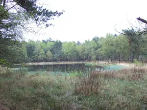 Swatte Poele