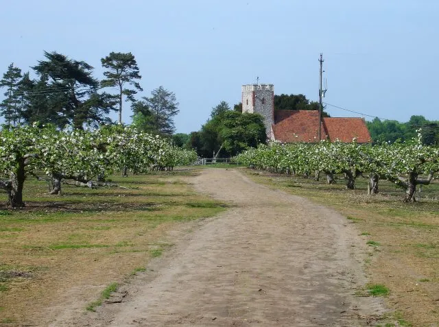The church in the orchard, Norton. Approach to St Mary's church is either up this well made (if rough) old stone track through the bramley apple orchard from Provender Road or through a small gate from the grounds of Norton Court to the north.