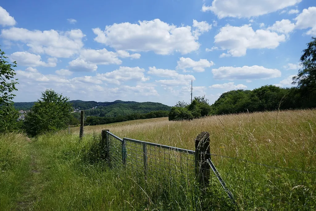 Blömkerberg, Galgenheide in Bielefeld
