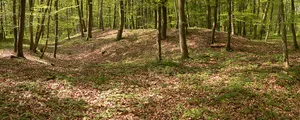 Schalksburg (Oderwald)