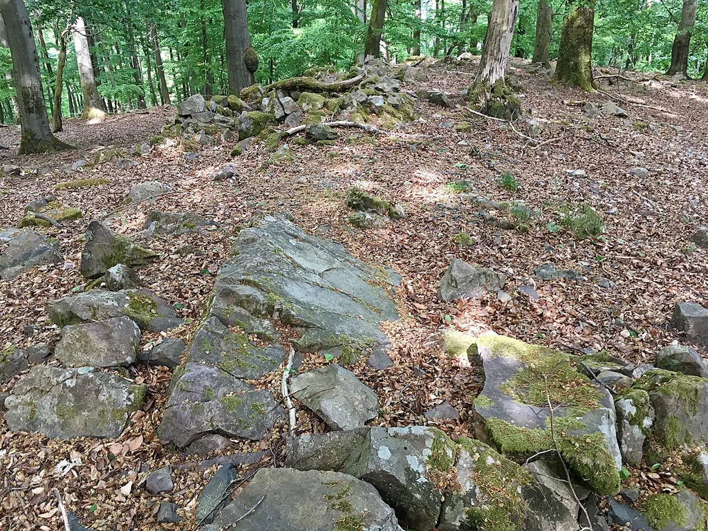 Steinhügel im Nordosten des kreisförmigen Steinwalls der Burg Eckelskirche auf dem Wollenberg.