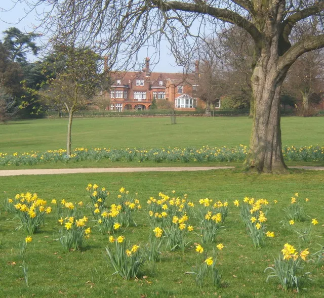 Christchurch Park in spring Daffodils line a path crossing the park. Looking to the northern edge along Park Road.