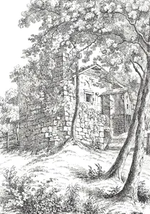 Burgstelle Isenringen