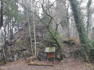 Burg Wildenstein (Horgen)