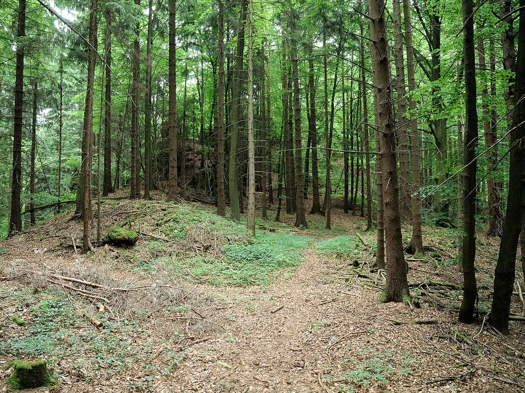 Burgstall Hagfelsen - Ansicht des Ringwalls mit der Zufahrt, im Hintergrund der Fels der Oberburg