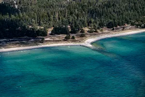 Mullvalds strandskog