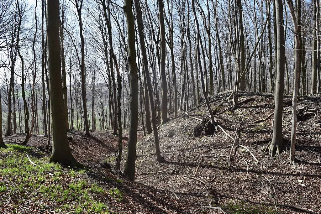 Wall und Graben der Hünenburg