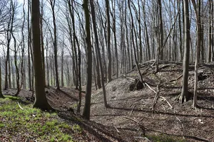 Hünenburg auf dem Hahnenberg