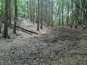 Burgwall Quadenschönfeld