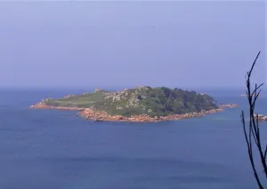 île Milliau