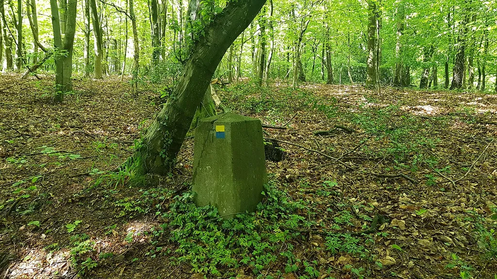 grenspaal 3b tussen België-Nederland in het Vijlenerbos, Wolfhaag-Gemmenich