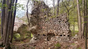Altburg Pux, Frojach